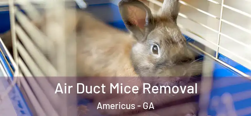  Air Duct Mice Removal Americus - GA