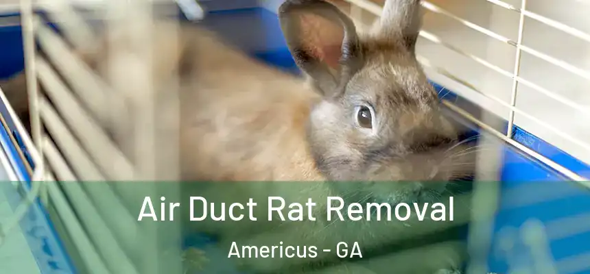  Air Duct Rat Removal Americus - GA