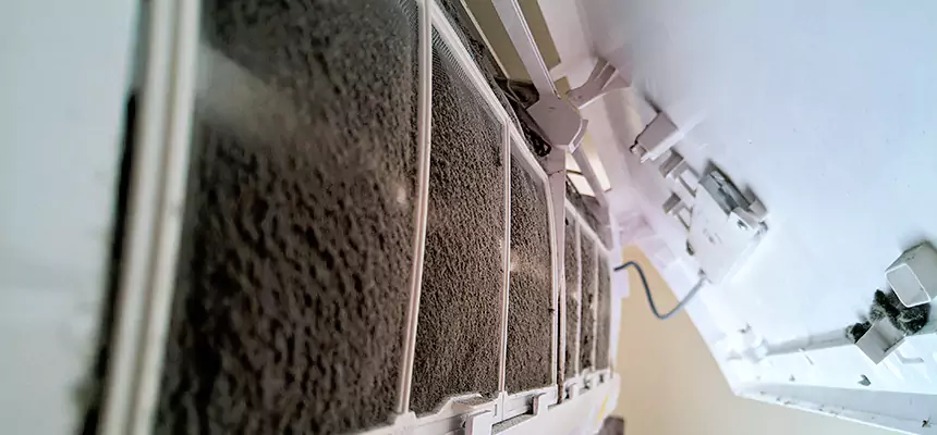 Preventive Air Duct Bacteria Removal in Americus