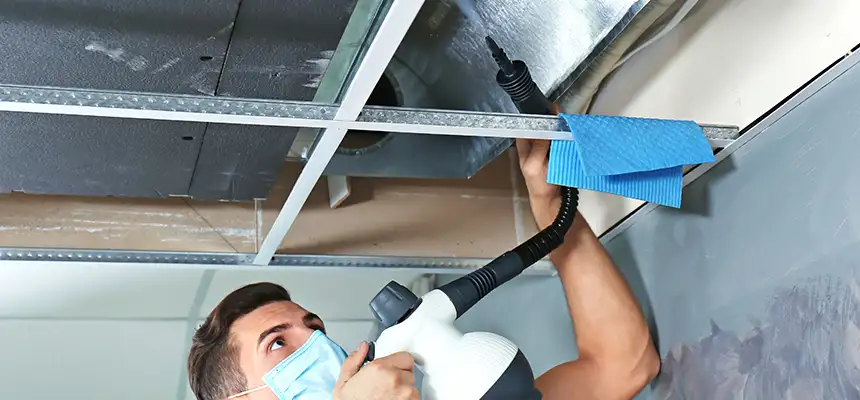 Our Air Duct Rodent Removal Services in Americus, GA