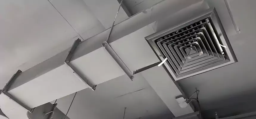 Restorative Allergy Relief Vent Cleaning – Coil, Blower & Housing Detail in Americus