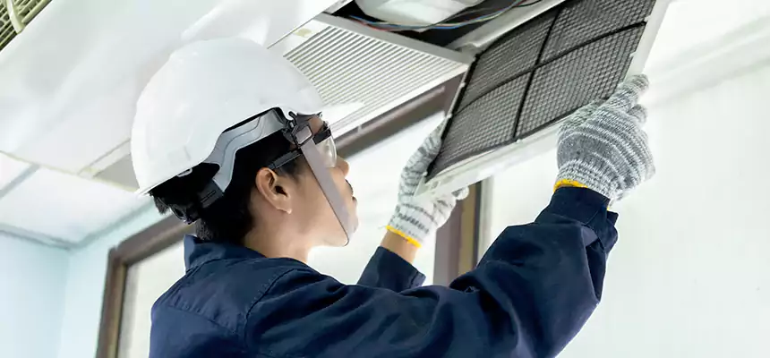 Our Mold & Mildew Removal from Air Ducts Services in Americus, GA