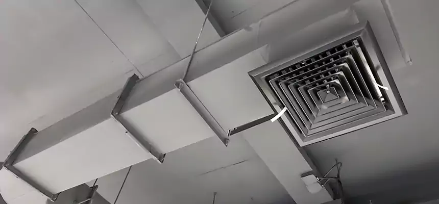 Our Pest Removal From Ducts Services in Americus, GA