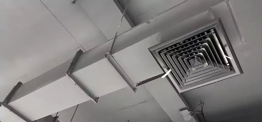 Our Rodent Droppings In Vents Services in Americus, GA