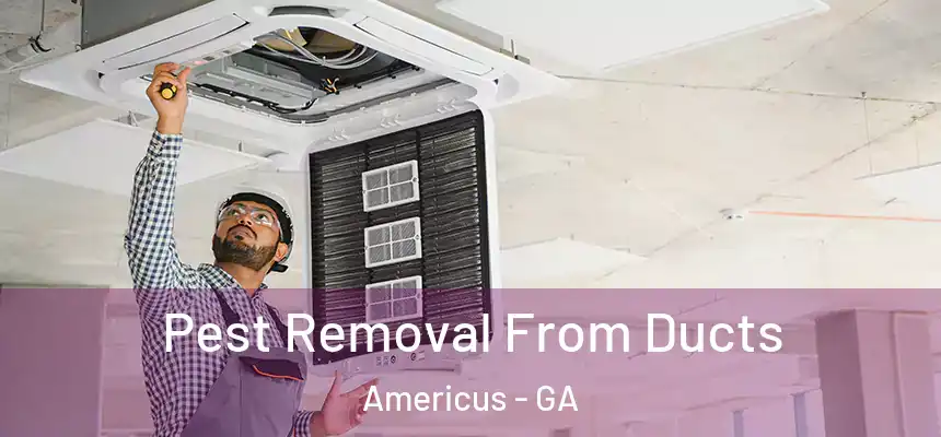  Pest Removal From Ducts Americus - GA