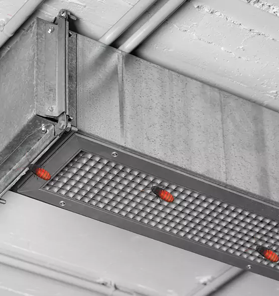 About Air Duct Cockroach Removal in Americus, GA