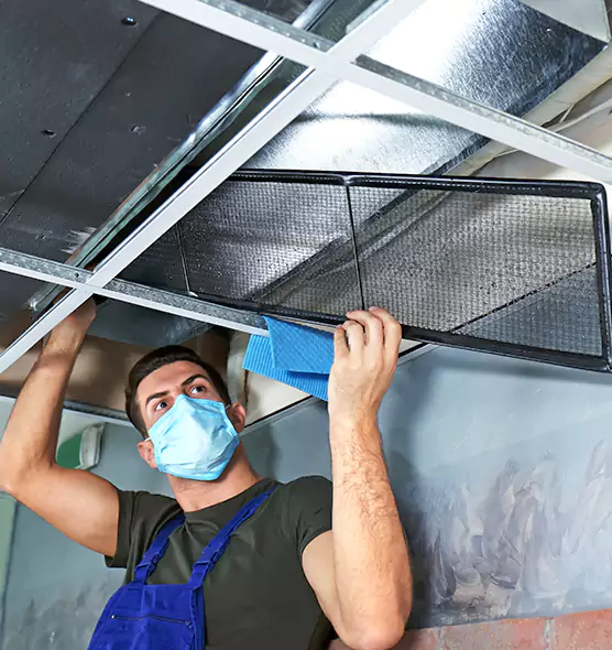 Professional Air Duct Pollen Cleaning in Americus, GA