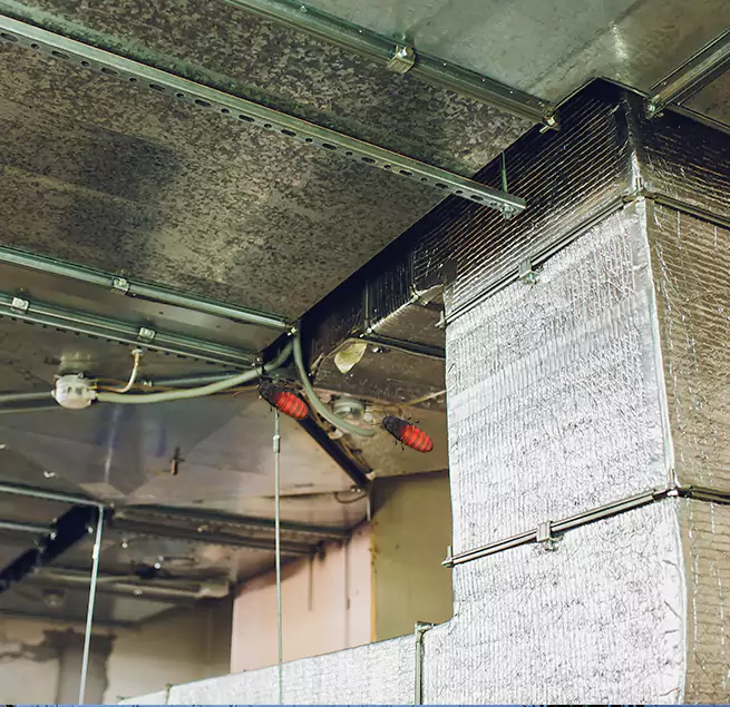 Why Homeowners & Businesses Trust Us in Americus, GA?