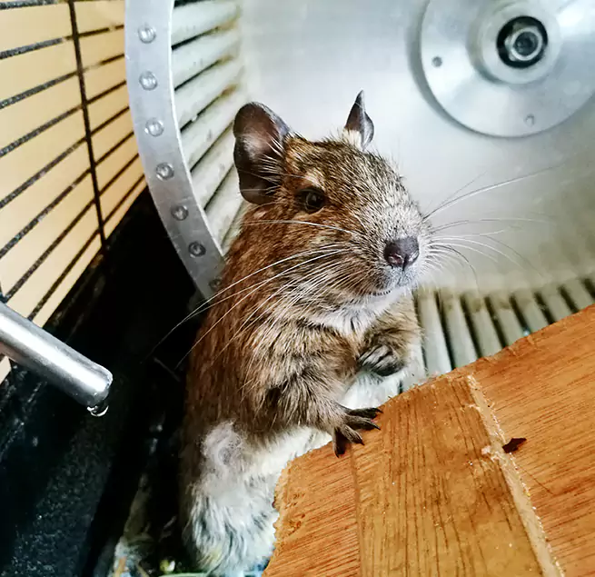 Why Homeowners & Businesses Trust Us Americus, GA