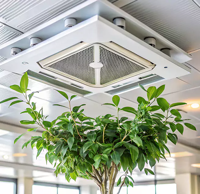 Why Homeowners & Businesses Trust Us in Americus, GA