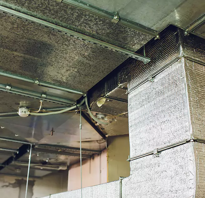 Why Homeowners & Businesses Trust Us in Americus, GA?